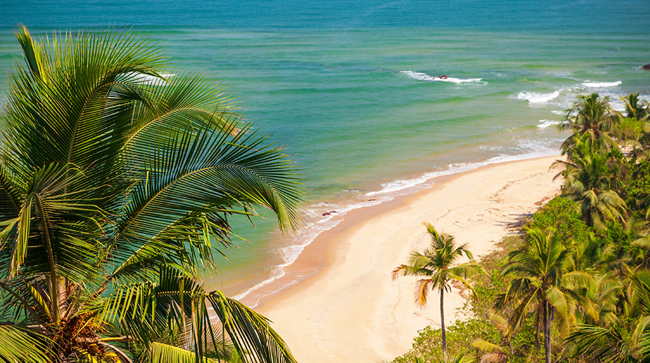 8 Best Things to Do in Goa – Top Experiences You Can’t Miss